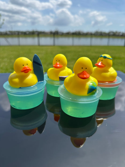 Beach Duck