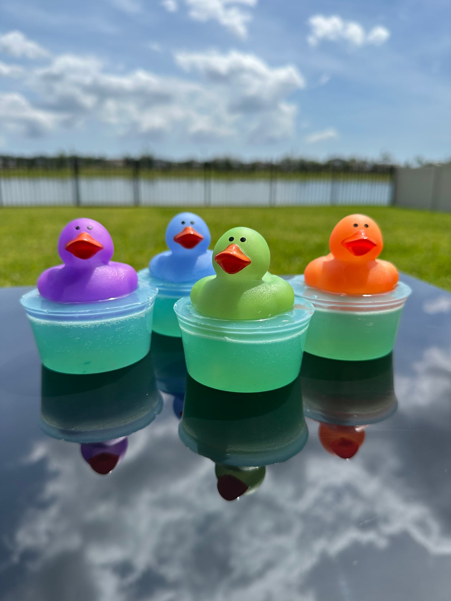 Color Changing Duck
