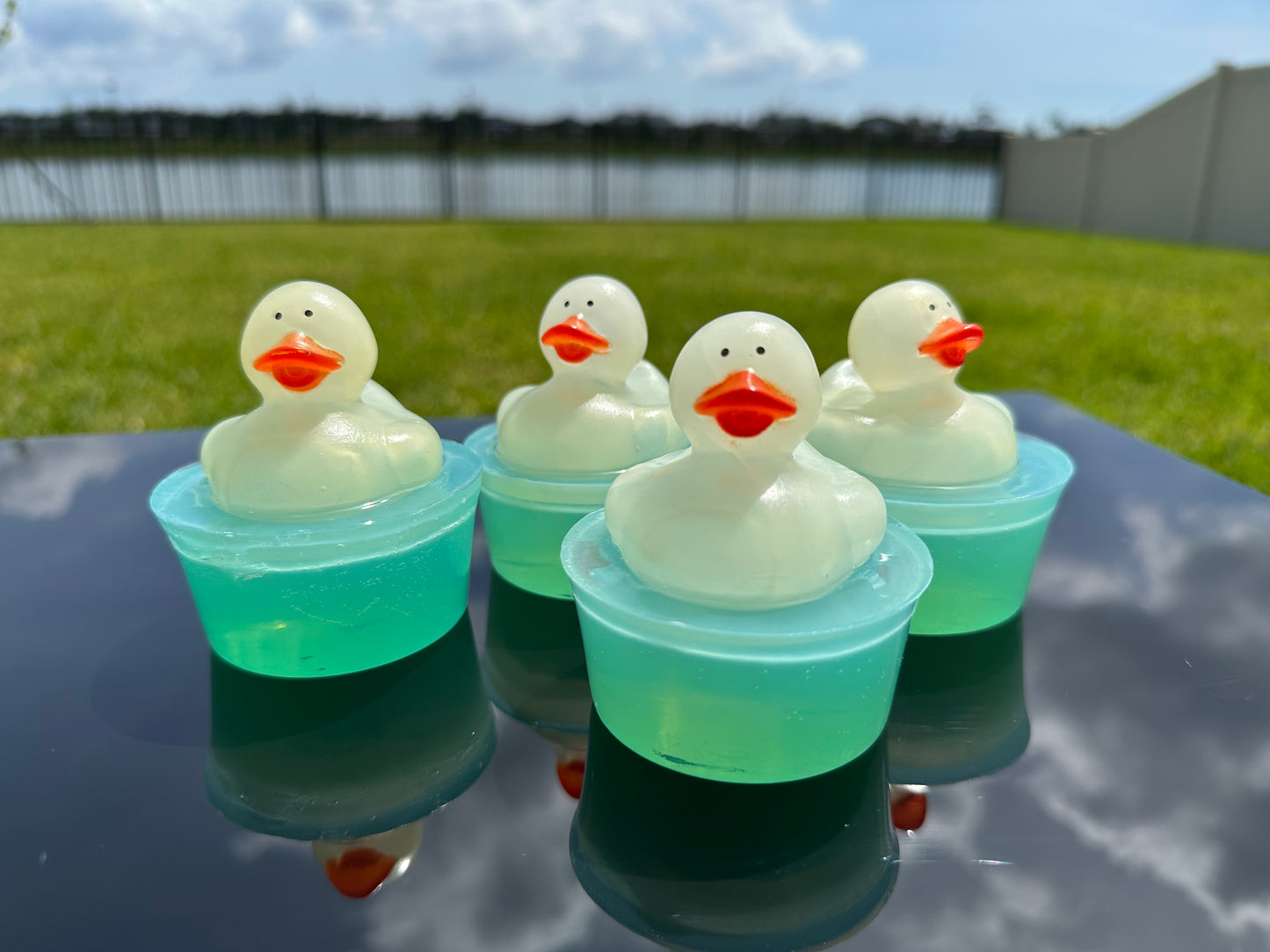 Glow in the Dark Duck