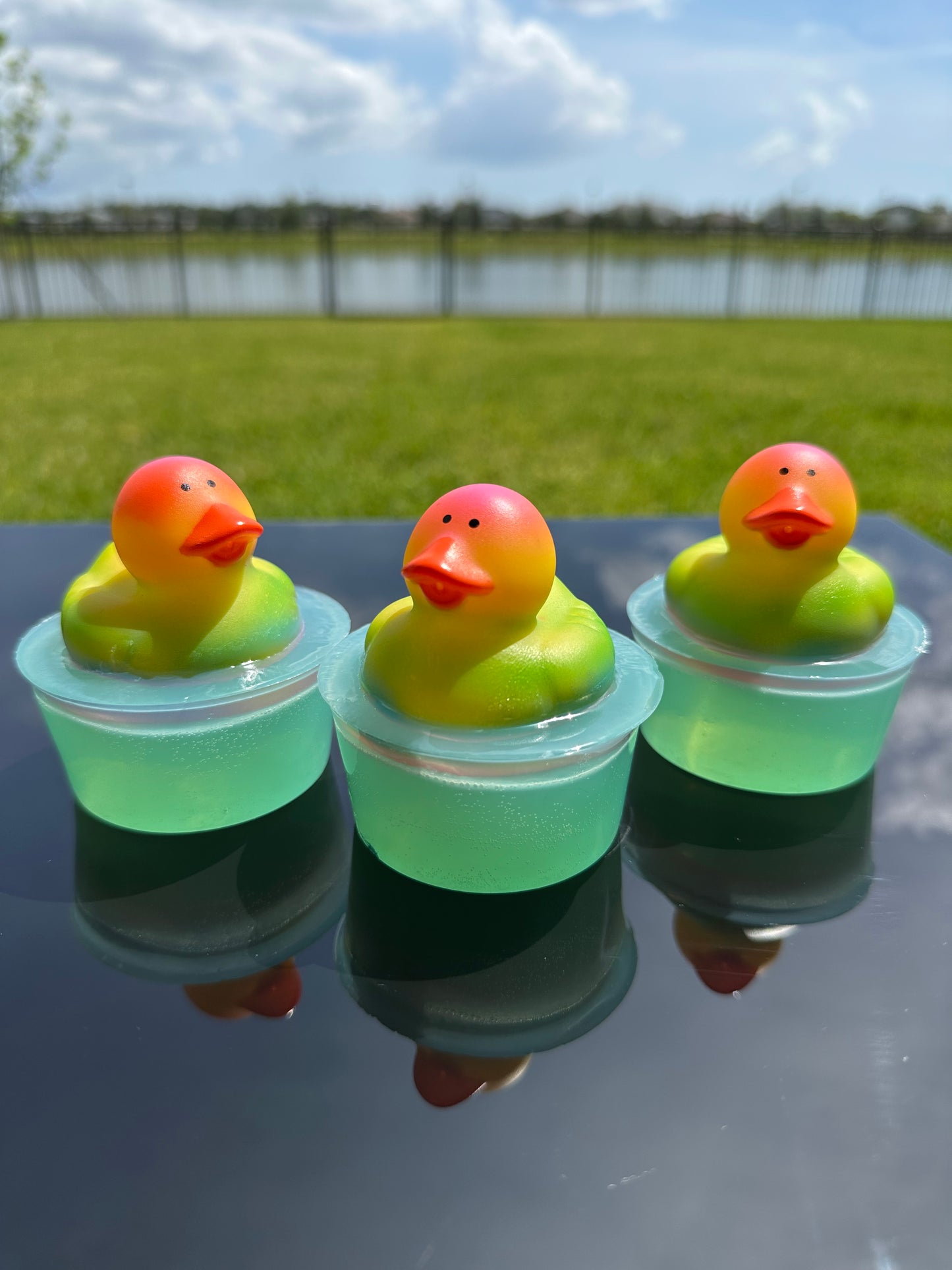 Rainbow Ombre Duck